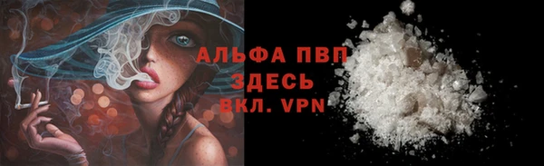 гидра Алексин