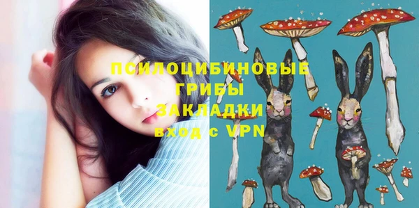 гидра Алзамай