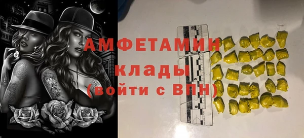 гидра Алексин