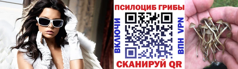 Псилоцибиновые грибы Psilocybine cubensis  hydra вход  Батайск  наркота 